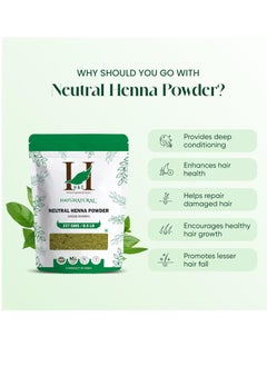 H&C HERBAL INGREDIENTS EXPERT H&C 100% Pure Neutral Henna Powder/Colorless Henna/Senna Powder/Cassia Obovata (227g / (1/2 lb) / 8 ounces) For conditioning your hair without coloring.  - Image 3