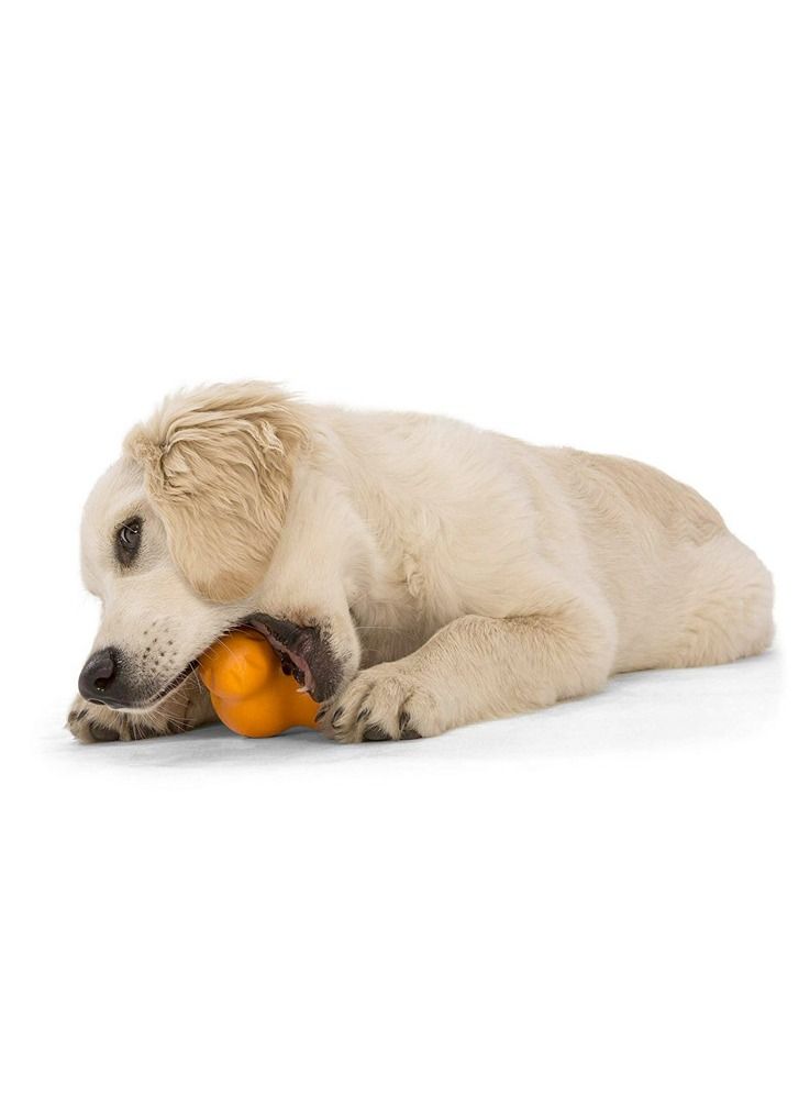 West Paw لعبة توزيع مكافآت الكلاب من Tux Treat باللون البرتقالي الصغير - Image 3