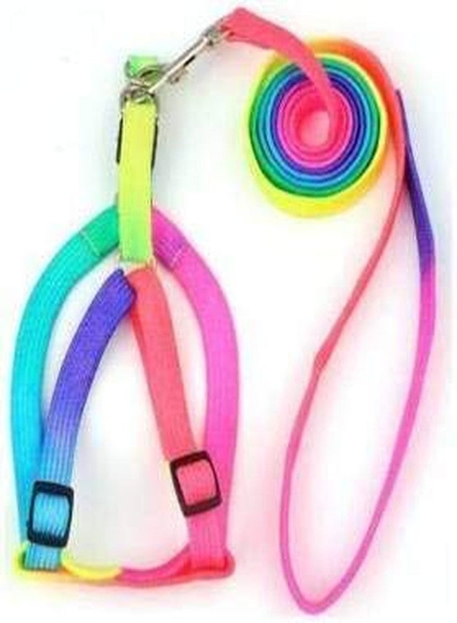 Petlicious & More® Rainbow Color Puppy Harness & Leash Set Small Dog Harness Leash (Harness + Leash) - Image 1