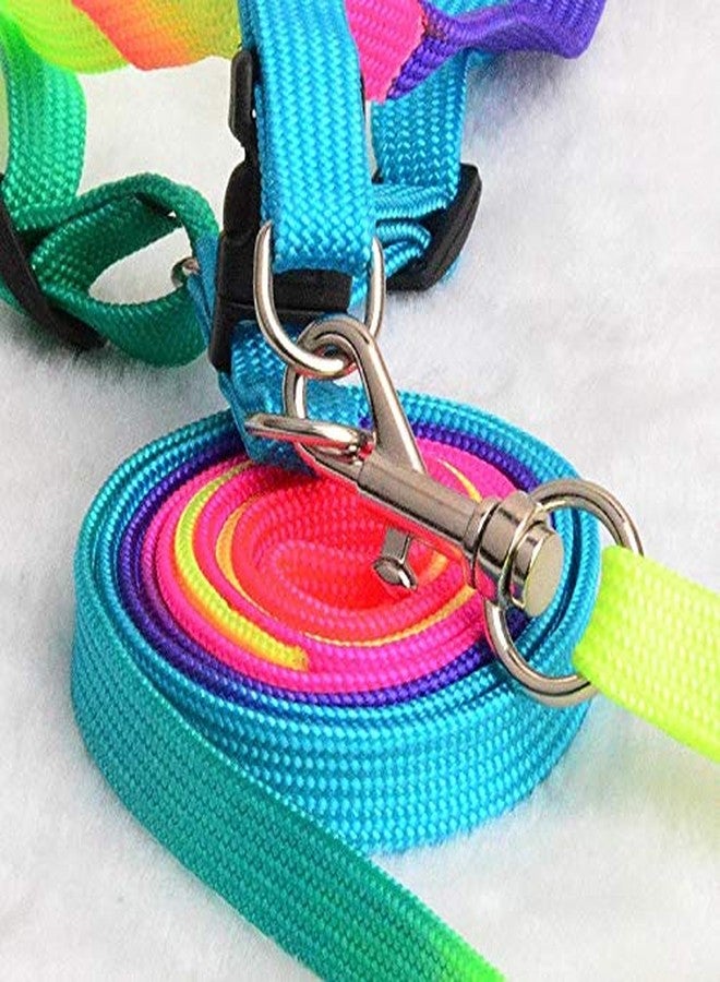 Petlicious & More® Rainbow Color Puppy Harness & Leash Set Small Dog Harness Leash (Harness + Leash) - Image 2