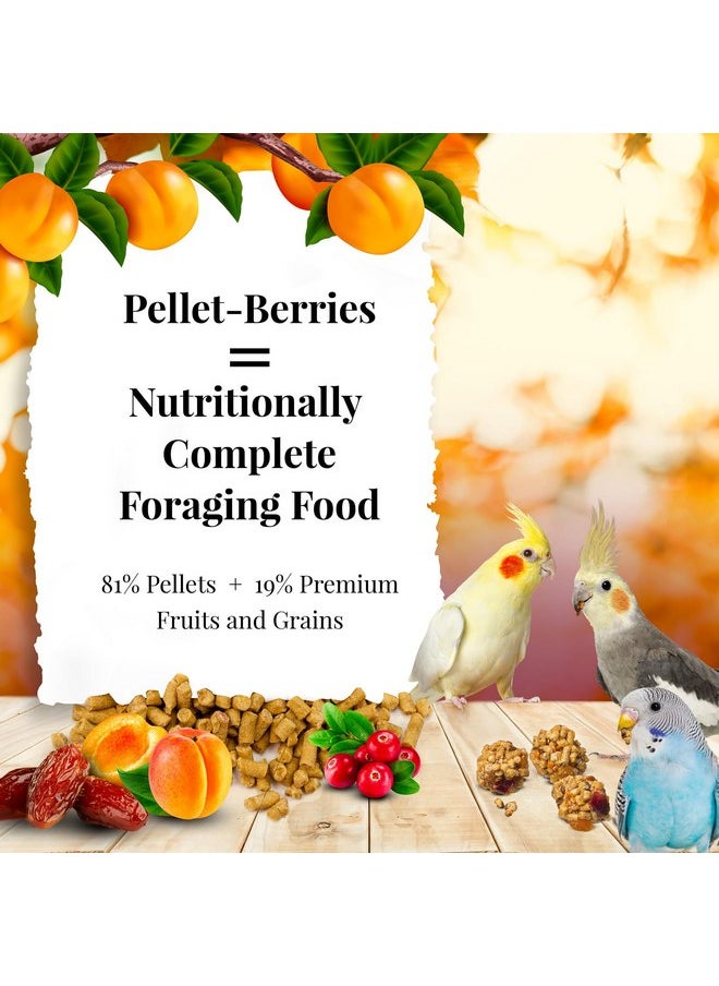 لافيبيرز طعام الطيور الأليفة Pellet-Berries من LAFEBER'S، مصنوع من مكونات غير معدلة وراثيًا ومناسبة للبشر، للطيور الكوكتيل والكونيور والببغاوات (البادجي) والطيور العاشقة (عبوة من قطعتين من PelletBerries، 10 أونصات)  - Image 2
