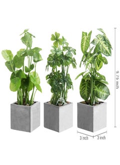 MyGift MyGift Artificial Assorted Plants Faux Tabletop Greenery in Gray Cement Square Pots, Set of 3  - Image 3