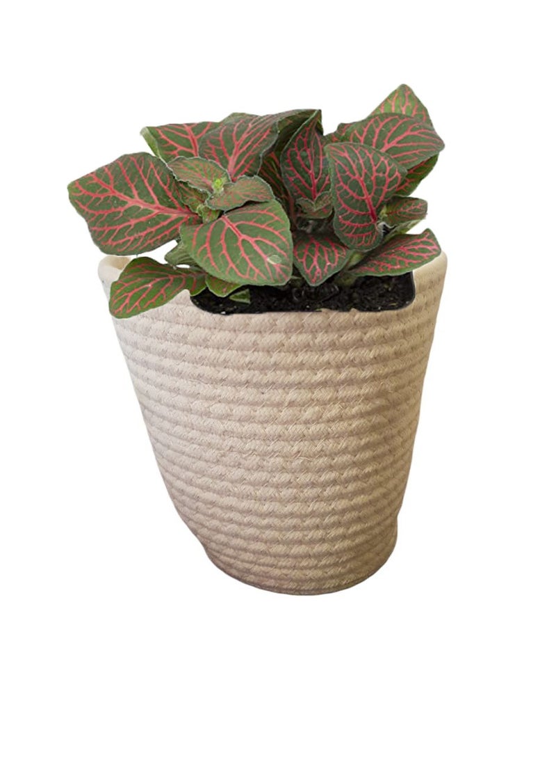 Hanging Basket Organizer made of Cotton Rope - Image 5