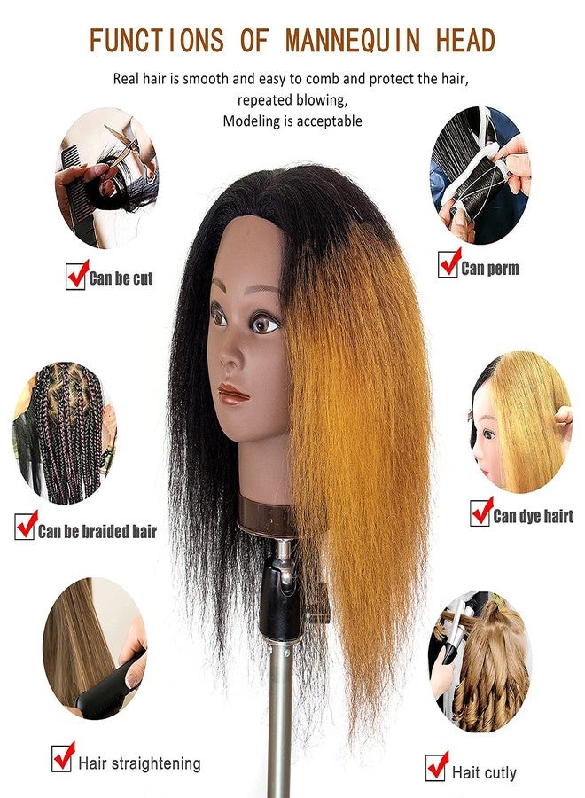 MILLYSHINE Mannequin Head 100% Real Human Hair,Wig Stand Tripod With Mannequin Head, Styling Braiding Doll Head,Dyeing Curling Training Head,Hairdresscer Practice Manikin Head - Image 2
