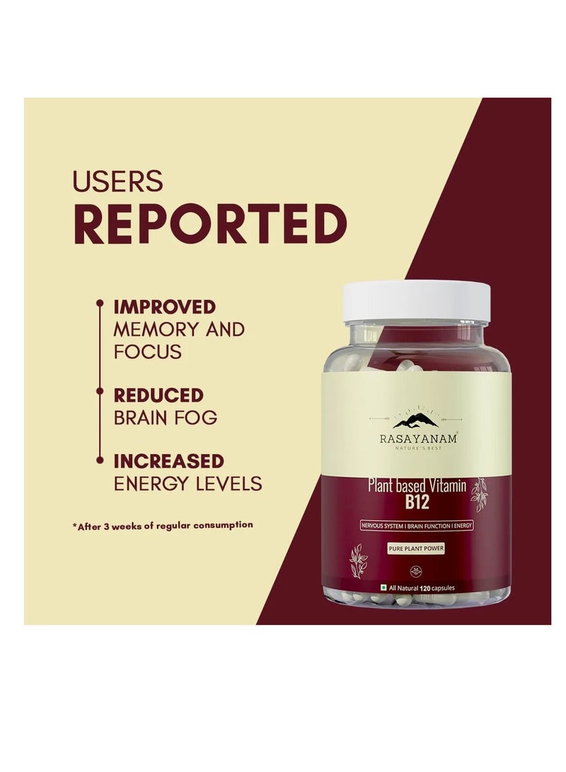 Rasayanam Plant Based Vitamin B12  120 Capsules - Image 3
