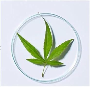 Andalou Naturals بلسم شعر فيتامين كانا سيل من أندالou ناتشورالز بجرعة يومية - Image 5