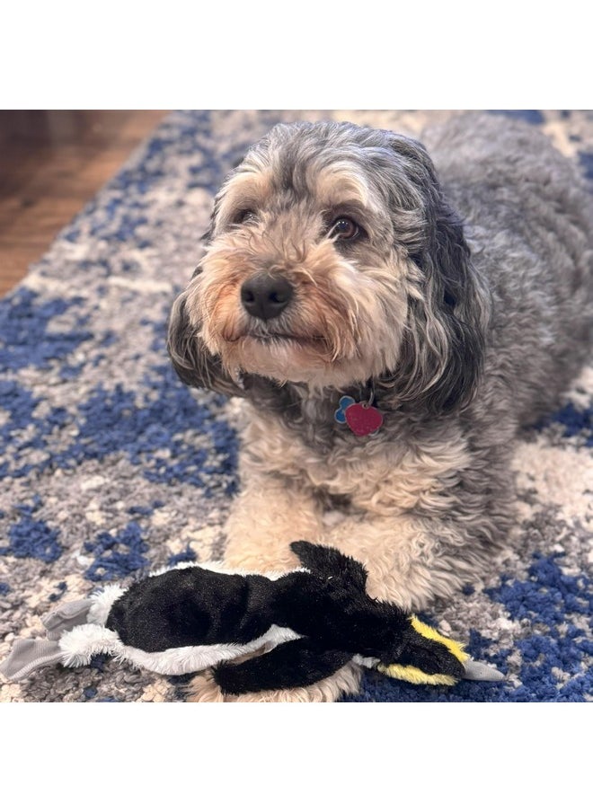 spot - SPOT Skinneeez Plus Penguin - Stuffing Free Dog Toy with Two Piece Rubber Body and Two Squeakers, Fun to Bite, Stuffingless Design is Great for Moderate Chewers, Tug Toy for Puppies & Dogs - 15in - Image 1