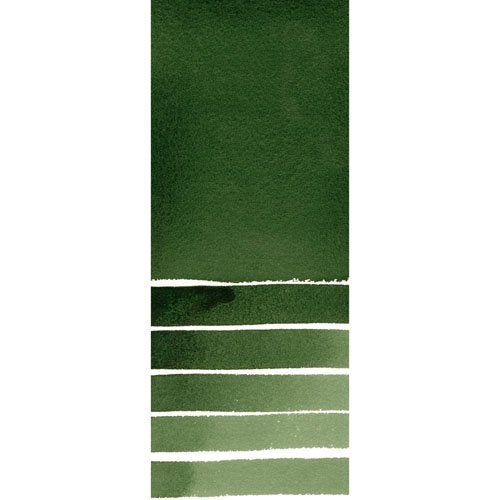 DANIEL SMITH 284600175 , Deep Sap Green Extra Fine Watercolor 15ml Paint Tube, 0.5 Fl Oz (Pack of 1) - Image 2