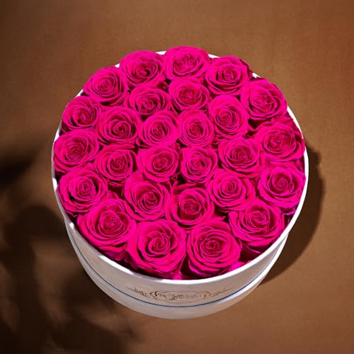 Prifroti 27 Flowers in a Luxury Suede Box, Birthday Gifts for Women, Preserved Flowers, Mothers Day Roses Gift for Mom, Hot Pink - Image 2