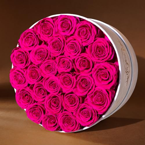 Prifroti 27 Flowers in a Luxury Suede Box, Birthday Gifts for Women, Preserved Flowers, Mothers Day Roses Gift for Mom, Hot Pink - Image 4