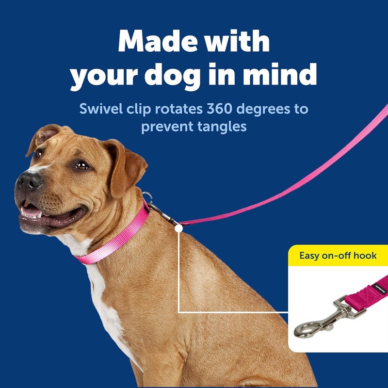 PetSafe Nylon Leash, 3/4" x 6', Deep Purple - Image 3