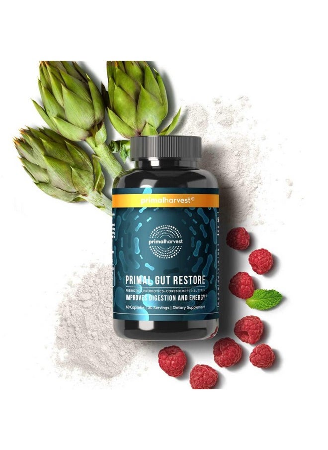 Primal Harvest Restore For Gut Health Primal Gut Restore W/Postbiotics Prebiotics And Probiotics For Women And Men 60 Ct Digestion Colon Cleanse Immunity Support Helps Leaky Gut Repair  - Image 4