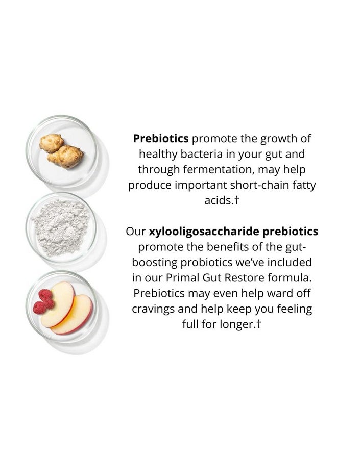 Primal Harvest Restore For Gut Health Primal Gut Restore W/Postbiotics Prebiotics And Probiotics For Women And Men 60 Ct Digestion Colon Cleanse Immunity Support Helps Leaky Gut Repair  - Image 5
