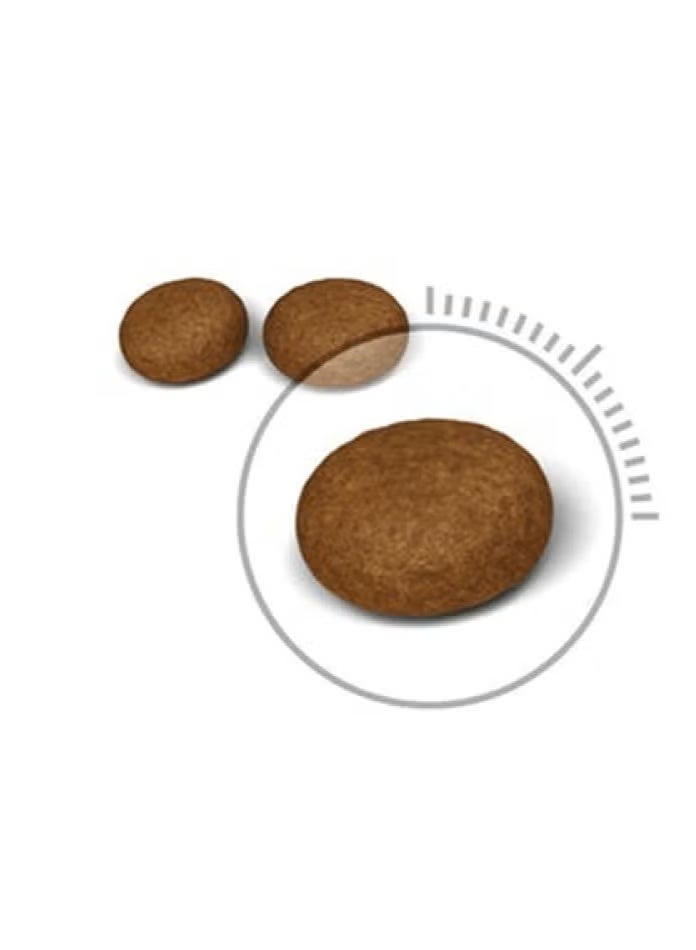 ROYAL CANIN Feline Care Nutrition Hair And Skin Cat Dry Food 2kg - Image 3