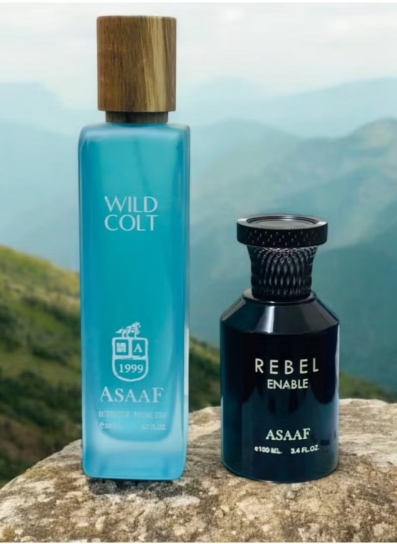ASAAF Asaaf Wild Colt 200ml + Asaaf Rebel Annibal 100ml Eau de Parfum  - Image 3