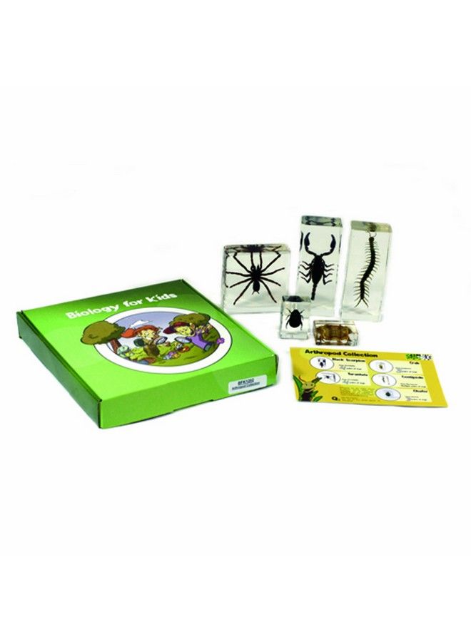 REALBUG Arthropod Collection 5Pc Set - Image 3