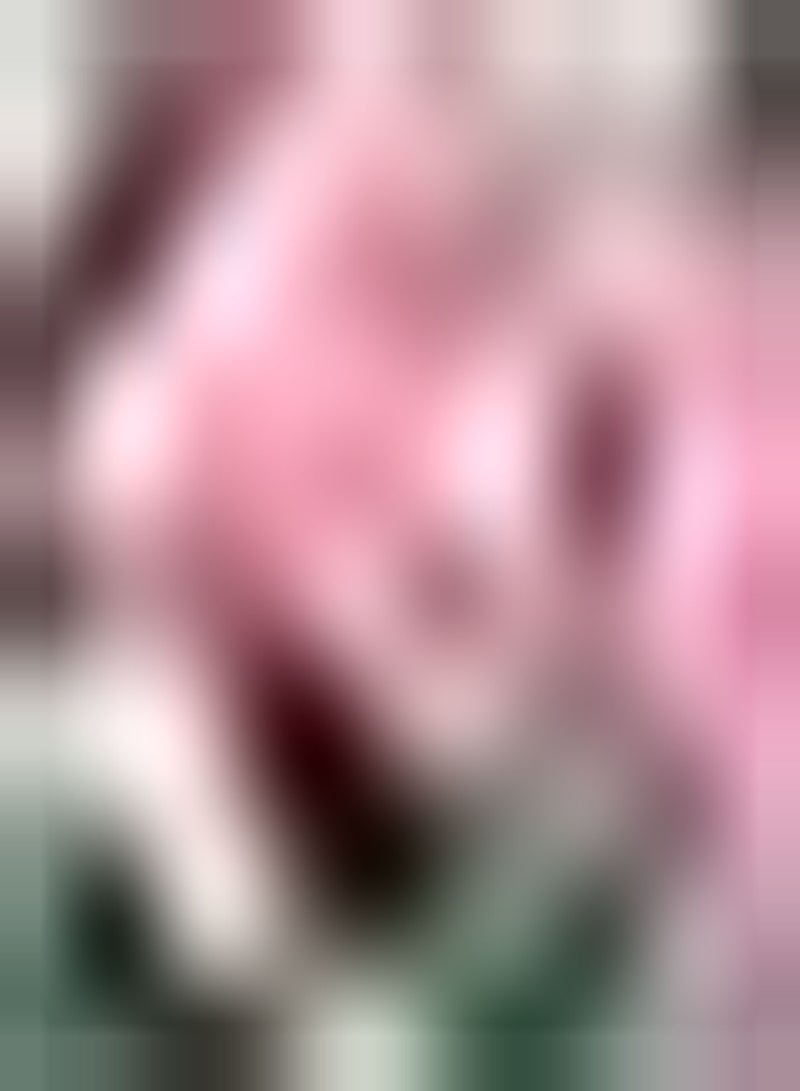 GGOOT 10 exotische Tulpenzwiebeln Zum Schneiden von farbigen Topfblumenzwiebeln Garten Hof Balkon Pflanzen verströmen Duft schöne mehrjährige Blumen - Image 1