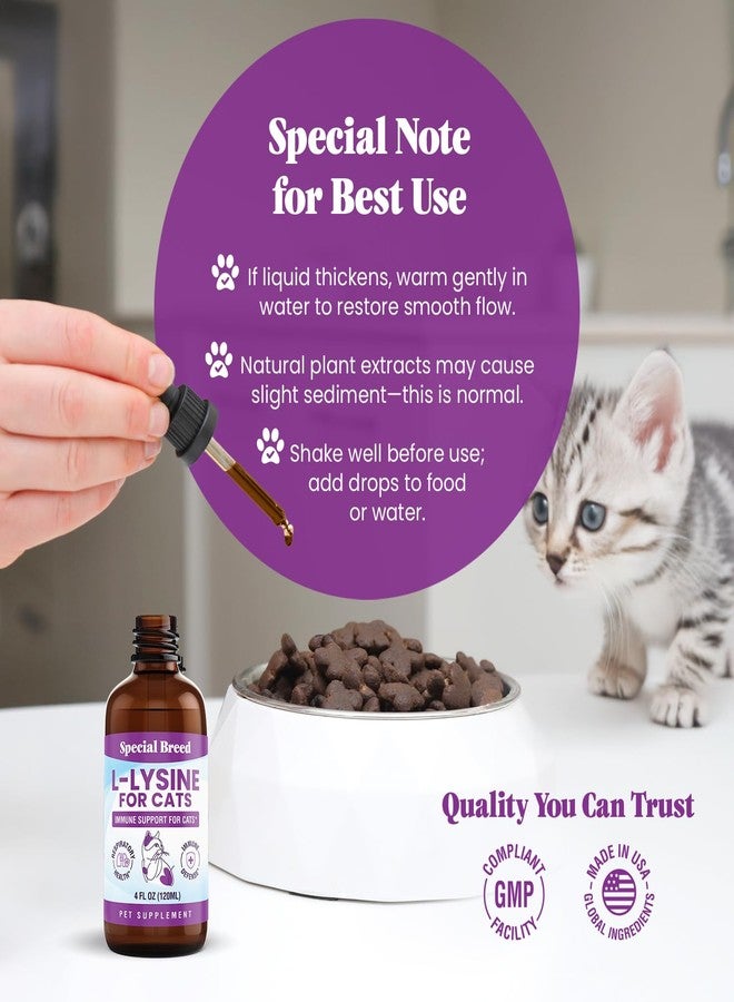 Special Breed L-Lysine for Cats & Kittens – Immune, Respiratory & Eye Health Support – Liquid Cat Supplement with Astragalus, Burdock, Atractylodes, Dangshen & Vitamins A, B1, B2, B6 – 4oz (120mL) - Image 4