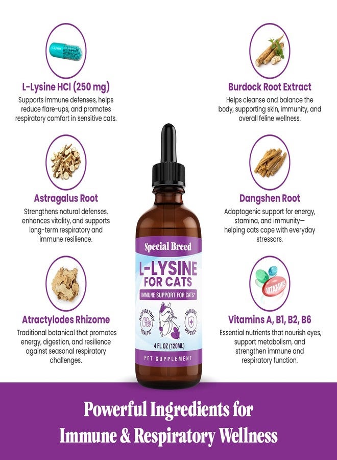 Special Breed L-Lysine for Cats & Kittens – Immune, Respiratory & Eye Health Support – Liquid Cat Supplement with Astragalus, Burdock, Atractylodes, Dangshen & Vitamins A, B1, B2, B6 – 4oz (120mL) - Image 3