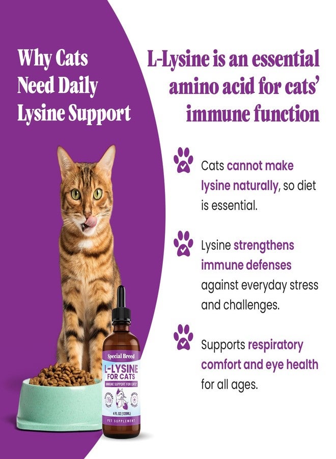 Special Breed L-Lysine for Cats & Kittens – Immune, Respiratory & Eye Health Support – Liquid Cat Supplement with Astragalus, Burdock, Atractylodes, Dangshen & Vitamins A, B1, B2, B6 – 4oz (120mL) - Image 2