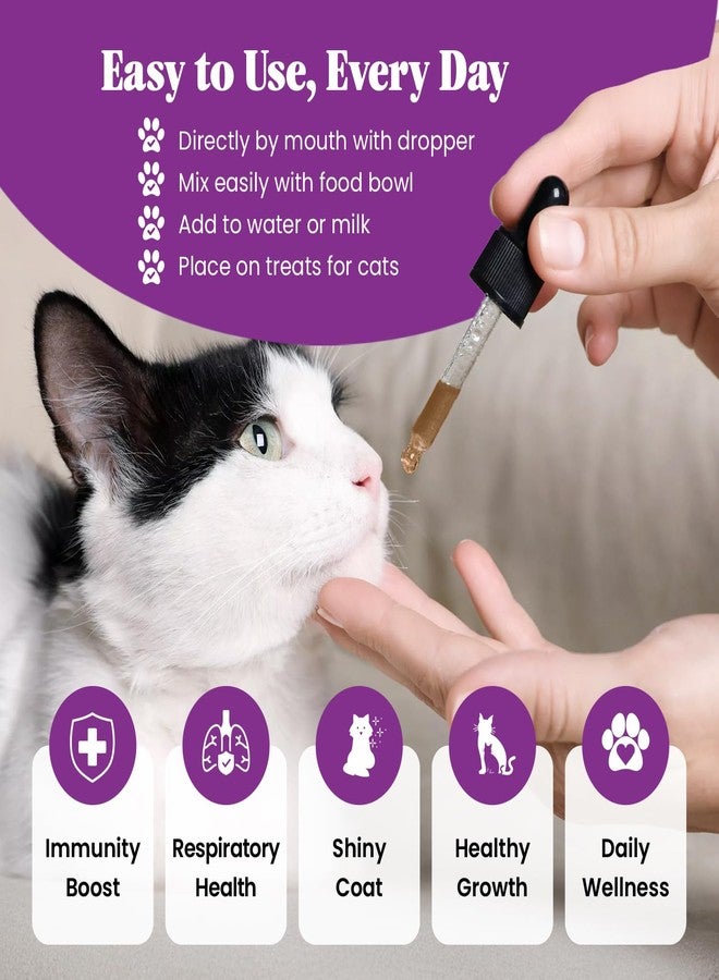 Special Breed L-Lysine for Cats & Kittens – Immune, Respiratory & Eye Health Support – Liquid Cat Supplement with Astragalus, Burdock, Atractylodes, Dangshen & Vitamins A, B1, B2, B6 – 4oz (120mL) - Image 5