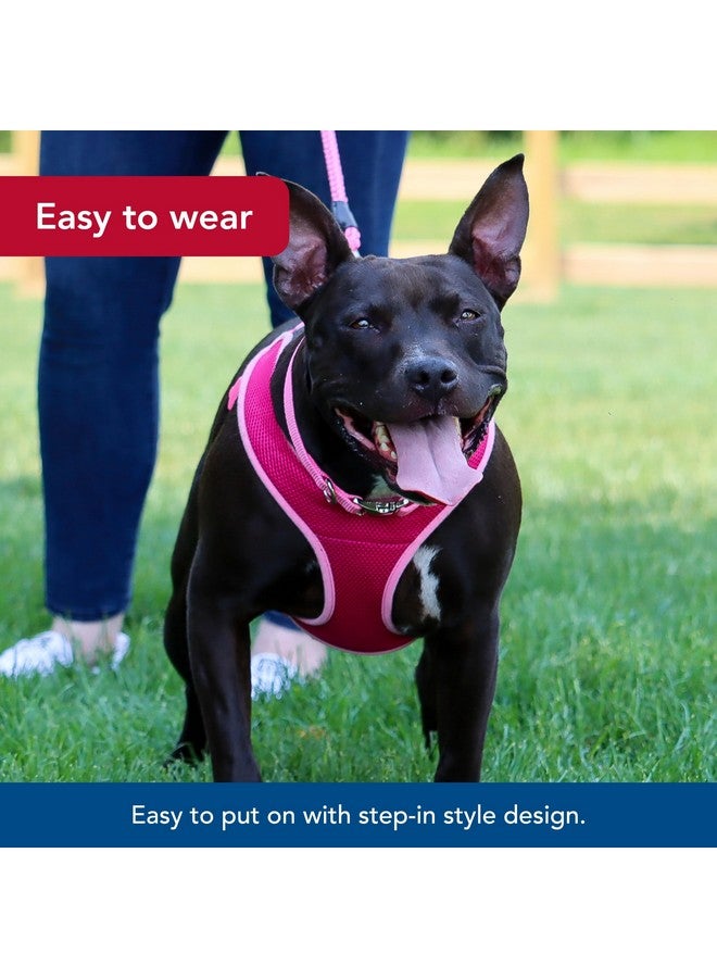 كوستال حزام كلب قابل للتعديل من Coastal Pet Comfort Soft Wrap - حزام مريح للكلاب - مقاس قابل للتعديل - تصميم سهل الارتداء - نسيج شبكي قابل للتهوية - لون أوركيد، 5/8 بوصة × 16 بوصة - 19 بوصة - Image 4