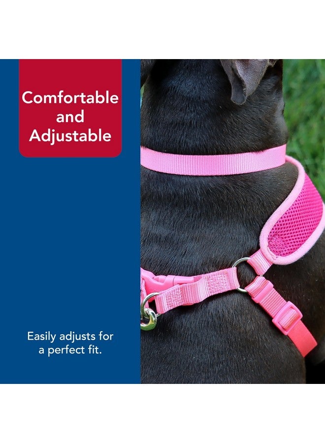 كوستال حزام كلب قابل للتعديل من Coastal Pet Comfort Soft Wrap - حزام مريح للكلاب - مقاس قابل للتعديل - تصميم سهل الارتداء - نسيج شبكي قابل للتهوية - لون أوركيد، 5/8 بوصة × 16 بوصة - 19 بوصة - Image 5