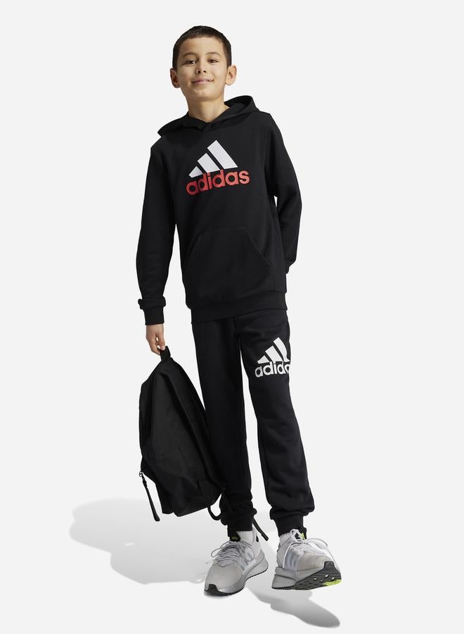 Essentials Big Logo 2 Hoodie