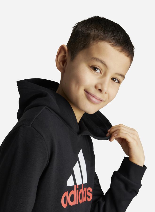 Essentials Big Logo 2 Hoodie