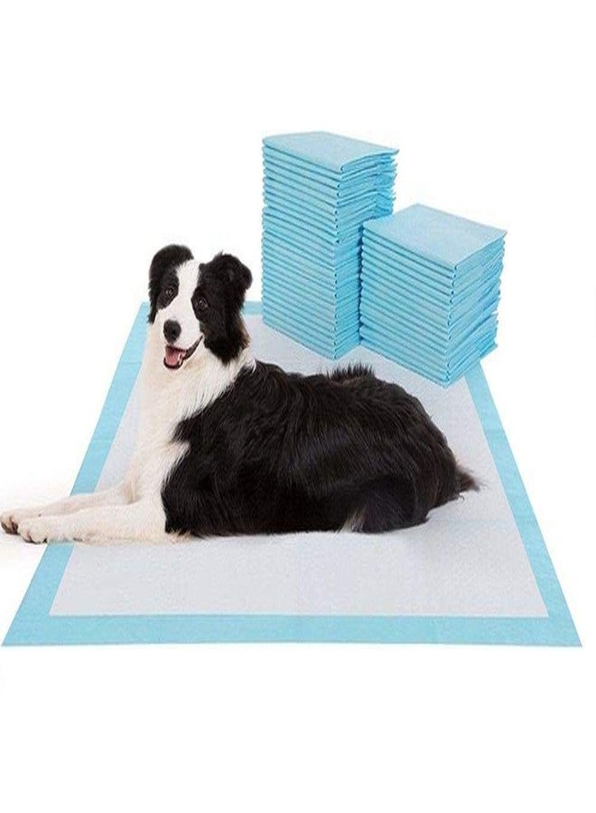 Aksh Disposable Pet Training Pads 60x90 cms Large Puppy Pee and Potty Pads with Quick Drying Surface & Absorbent Core, Suitable for Small/Medium/Large Breed Pets, Dogs, Cats - Pack of 10, 100 pc - Image 1
