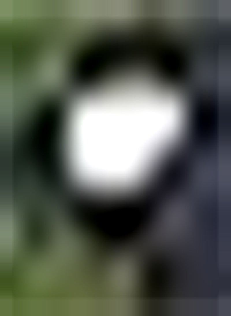 GGOOT 10pcs Witte Lotus Zaden Waterlelie voor Thuis Planten Ornamenta Bloem Zuiveren Water en Lucht Aquatische Planten voor Binnenplaats Hotel Goldfish Pond - Image 2