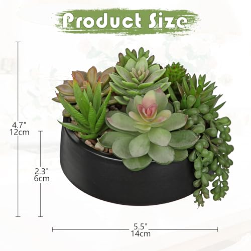 DILATATA Artificial Succulent Plants in Pot 55 Inch Fake Succulents Arrangement Potted Plant in Black Ceramic Planter Bowl for Home Office Desk Shelf Living Room Bedroom Bathroom Decor - Image 3