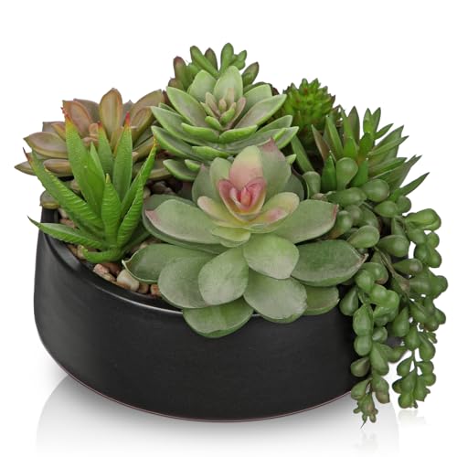 DILATATA Artificial Succulent Plants in Pot 55 Inch Fake Succulents Arrangement Potted Plant in Black Ceramic Planter Bowl for Home Office Desk Shelf Living Room Bedroom Bathroom Decor - Image 1