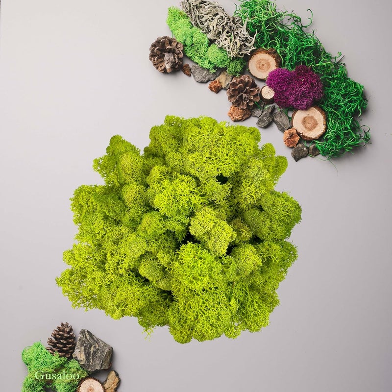 Gusaloo Preserved 1.1lb Moss Artificial Moss Natural Fresh Green Moss for Craft Handicraft Arts Floral Project Wall Decor Table Decor Wedding Centerpieces Garden Terrariums Decoration - Image 3