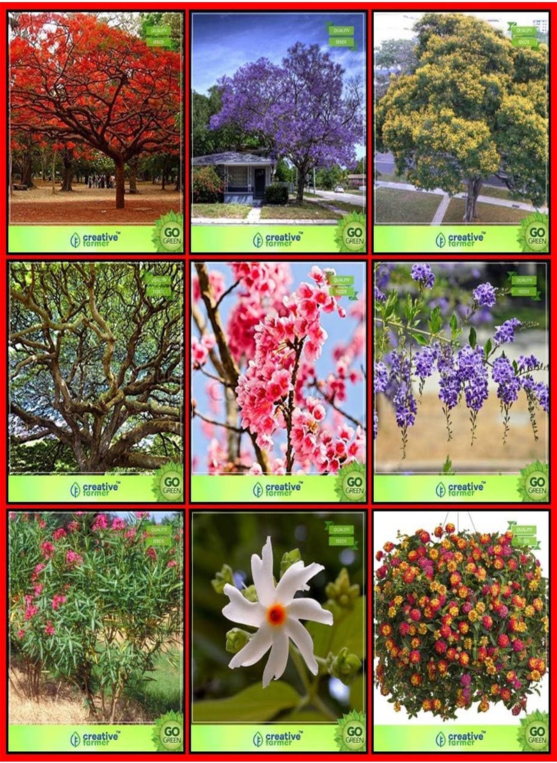 GGOOT - Garden Seeds Combo Tree Seeds : Jacaranda, Delonix Regia, Queen Crape Myrtle, Yellow Flametree, Champak, Pigeon Berry, Cassia Javanica, Karavira, Lantana Camara Kitchen Garden Pack: Only Seeds - Image 1