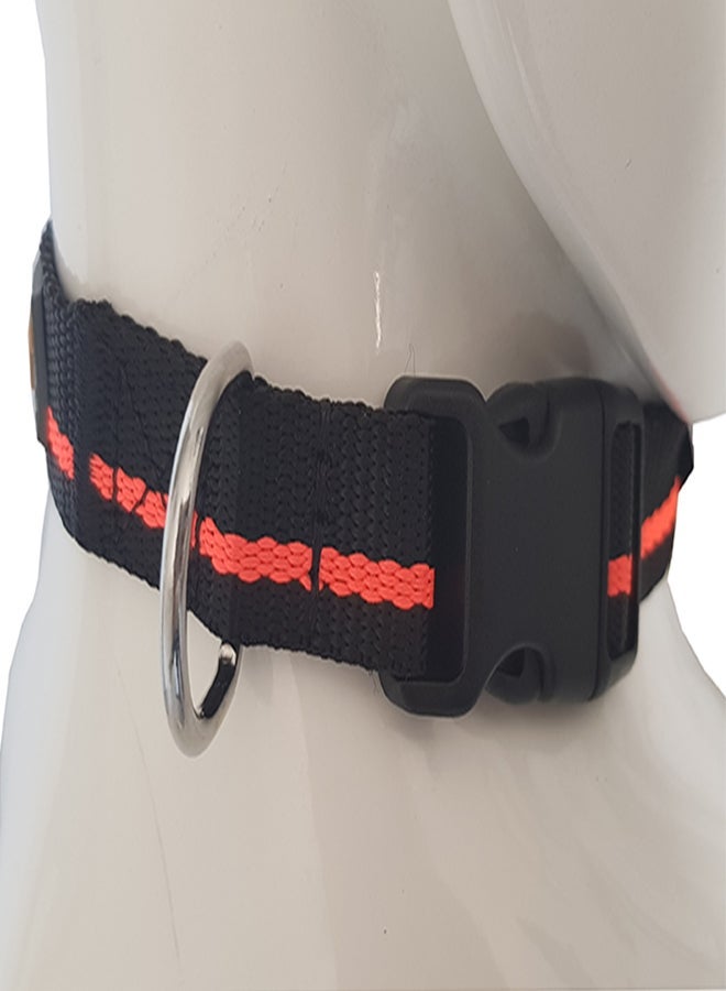 NIBEMINENT Nylon Collar Multicolour Medium