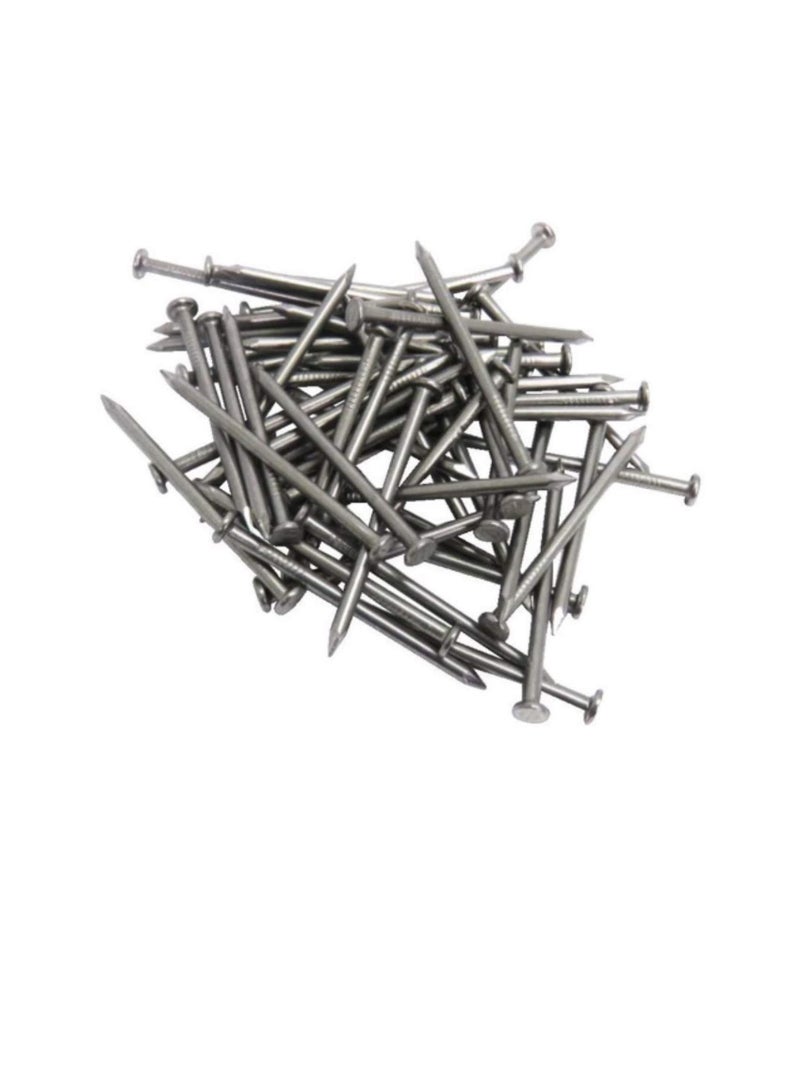 High Strength Round Head Nails For Carpentry Hardware Electrical Etc (300, 1 inch) - Image 3