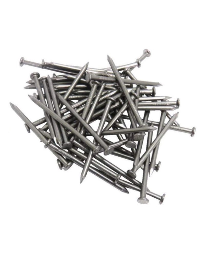 High Strength Round Head Nails For Carpentry Hardware Electrical Etc (300, 1 inch) - Image 1