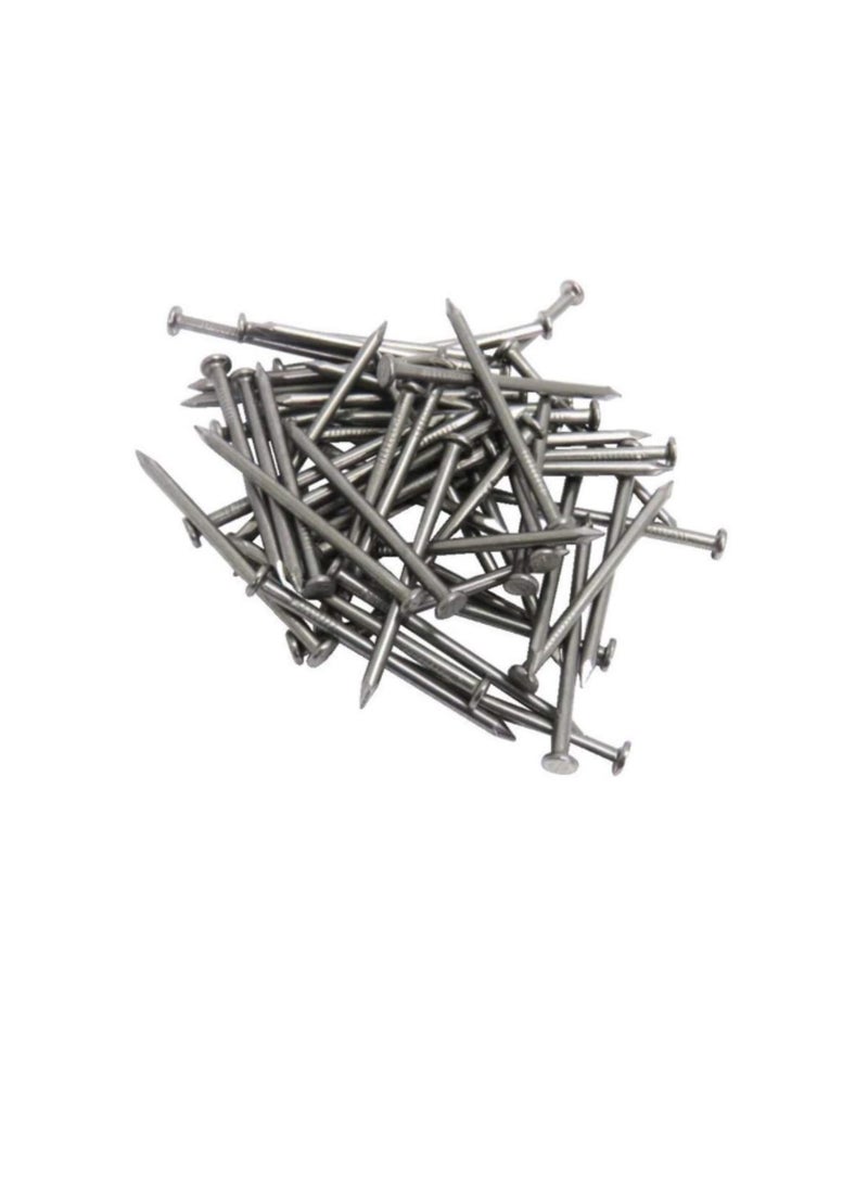 High Strength Round Head Nails For Carpentry Hardware Electrical Etc (300, 1 inch) - Image 2