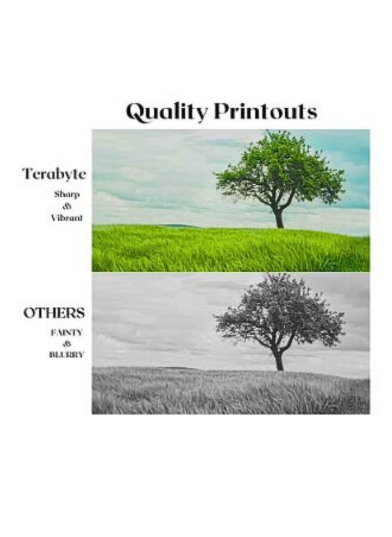 Terabyte - MLT-108S black toner cartridge compatible for Samsung ML-1640,ML-1640XSA ,ML-1641,ML-1645,ML-1910, ML-1915, ML-2240. - Image 1