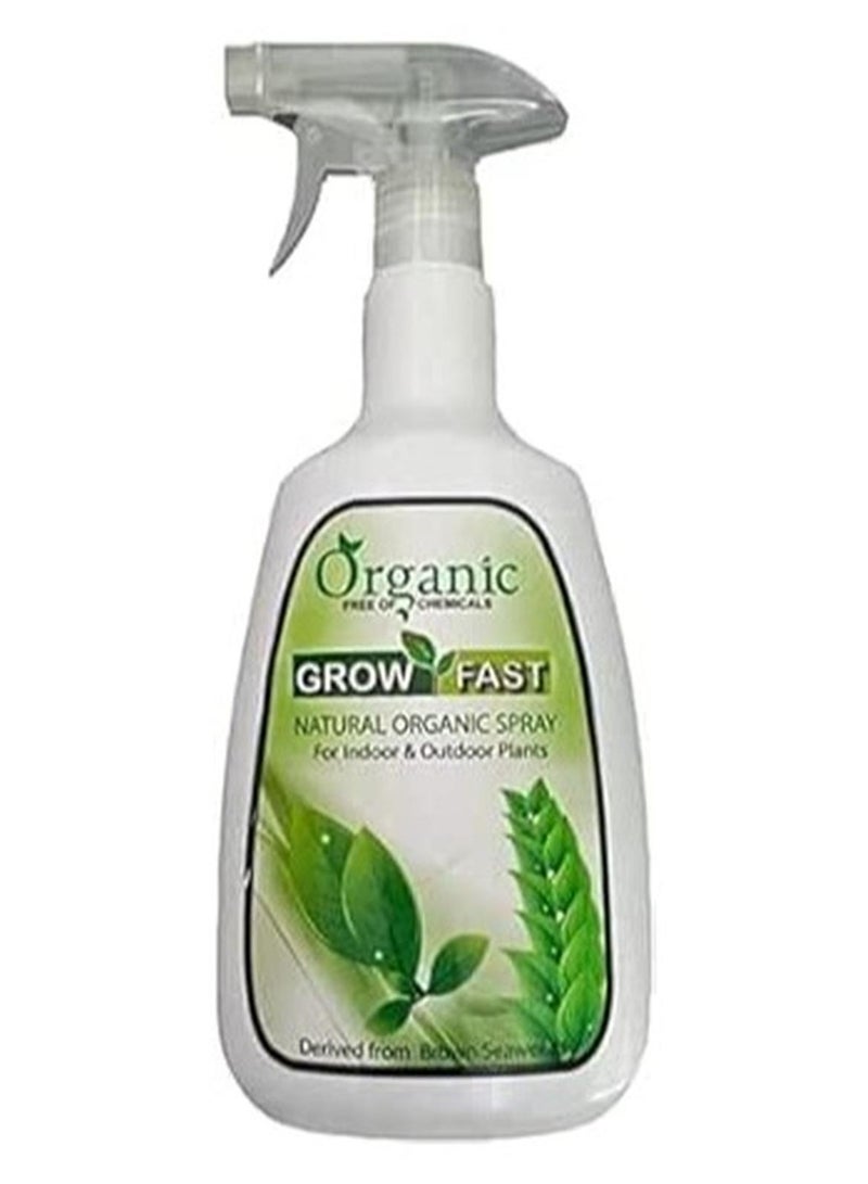 Grow Fast Natural Organic Spray 860 ml for Indoor & Outdoor Plants is a Versatile and Eco Friendly Plant Care Solution Designed to Support the Health and Growth of Both Indoor and Outdoor Plants. - Image 1