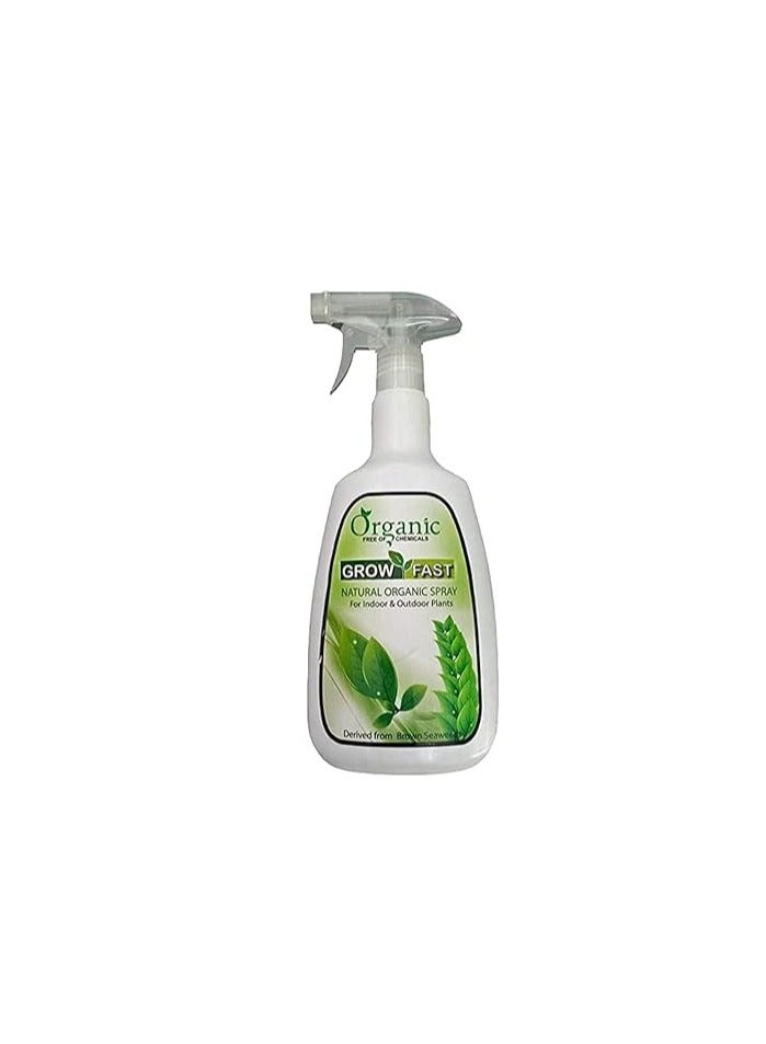 Grow Fast Natural Organic Spray 860 ml for Indoor & Outdoor Plants is a Versatile and Eco Friendly Plant Care Solution Designed to Support the Health and Growth of Both Indoor and Outdoor Plants. - Image 2