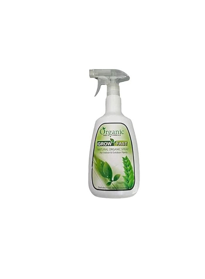 Grow Fast Natural Organic Spray 860 ml for Indoor & Outdoor Plants is a Versatile and Eco Friendly Plant Care Solution Designed to Support the Health and Growth of Both Indoor and Outdoor Plants. - Image 3
