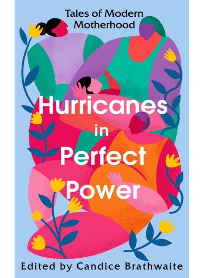 Hurricanes in Perfect Power : Tales of Modern Motherhood