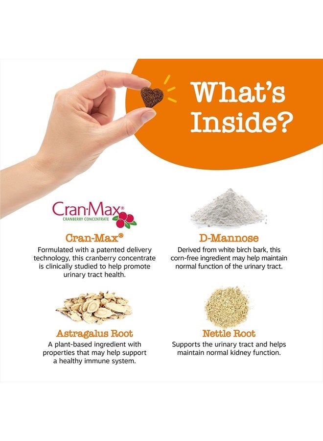 Zesty Paws Cranberry for Dogs - UT Incontinence Support + Immune Health Dog Antioxidant - Urinary Tract UTI & Kidney + Bladder Support - D-Mannose + Organic Marshmallow & Licorice - 90 Chew Treats - Image 3