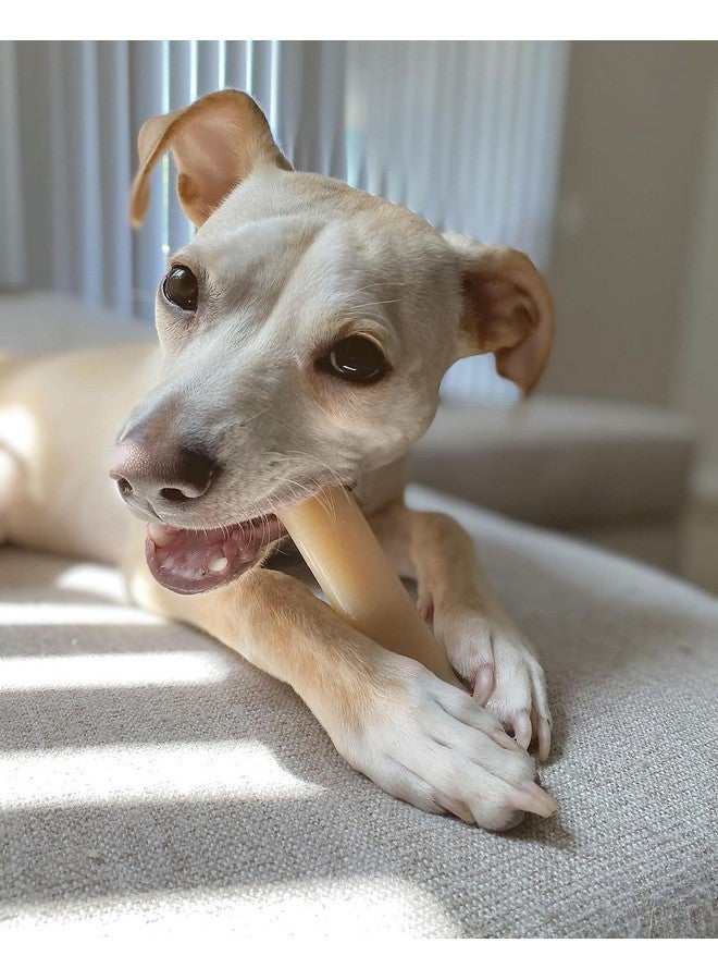 Nylabone Power Chew Original Bone - Durable & Tough Chew Toys for Aggressive Chewers - Durable Dog Toy for Medium Breeds - Original Flavor, Medium, Up to 35 Ibs. (1 Count) - Image 1