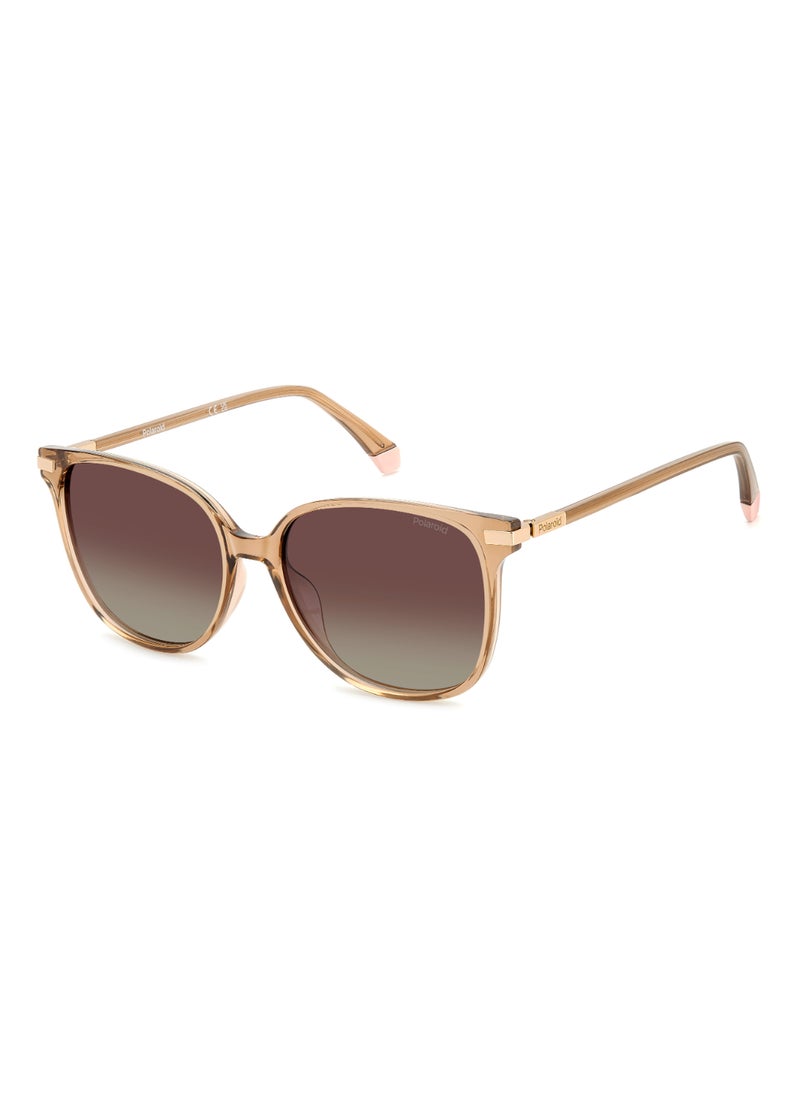 Women's Polarized Square Shape Metal Sunglasses Pld 4170/G/S/X Brown 50 - Lens Size: 49.6 Mm - Gold - pzsku/Z0BF867AB01A4B92247DBZ/45/_/1721200424/82362b84-157a-4e91-b7fe-21576f175214