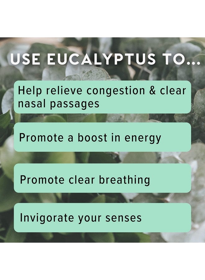 MOXE MOXĒ Eucalyptus Essential Oil Nasal Inhaler, Sinus & Congestion Relief, Daily Relaxation, Stress Relief, Therapeutic No-Mess Aromatherapy, Pure and Natural, Made in USA (3 Pack) - Image 5