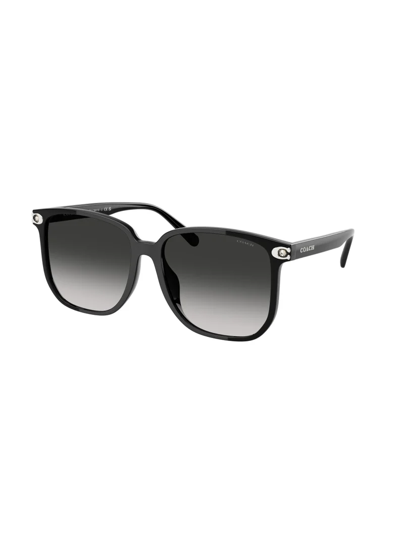 COACH Polyamide Standard Woman Sunwear
