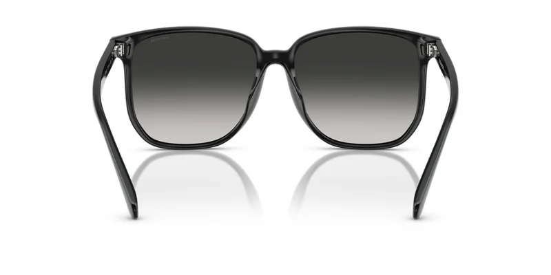 COACH Polyamide Standard Woman Sunwear